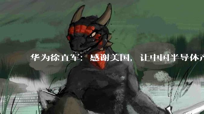华为徐直军：感谢美国，让中国半导体产业链真正成长_芯片_定律_何式