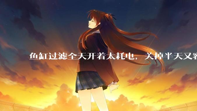 鱼缸过滤全天开着太耗电，关掉半天又容易水浑，有什么好办法？