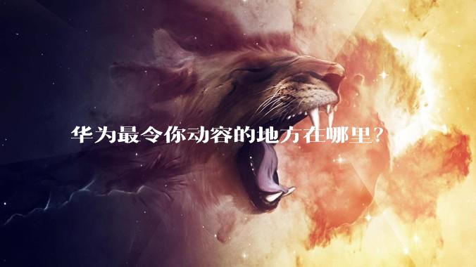 华为最令你动容的地方在哪里？