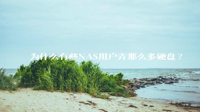 为什么有些NAS用户弄那么多硬盘?