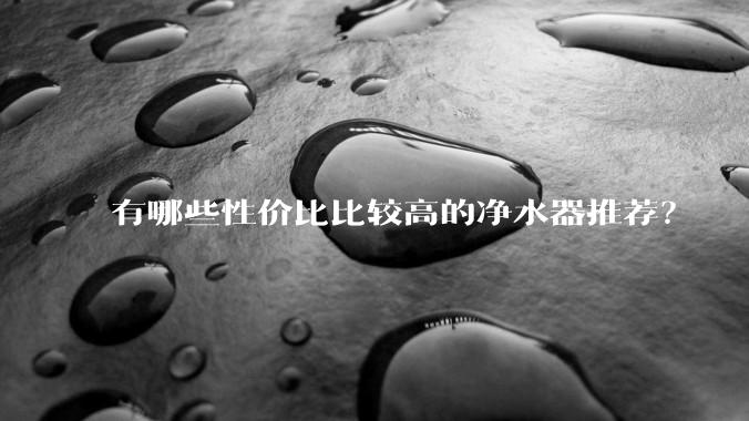 有哪些性价比比较高的净水器推荐？